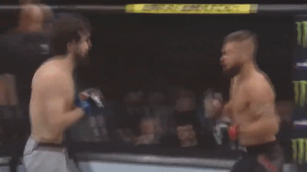  Бой против Джереми Стивенса, Забит Магомедшарипов, боец мма, ufc