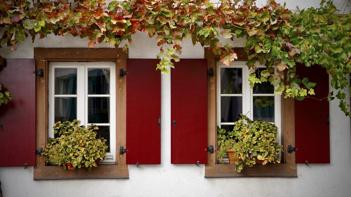 фото из pixabay