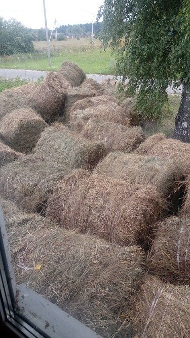 Вид из окна. Только-только сгрузили вторую машину сена, последние 50 рулонов по 250-300кг. Ещё не сложено. По мнению соседки - помойка?