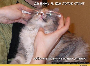 Изображение из Яндекс-картинок
