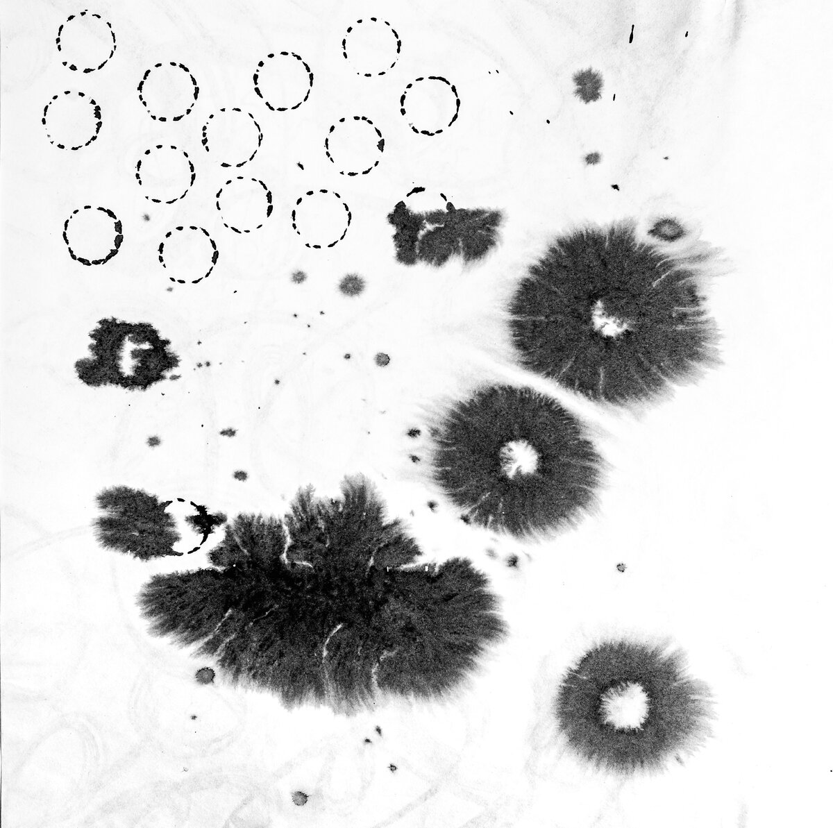 Просто кляксы тушью в альбоме, которые в дальнейшем стали кистями в Procreate