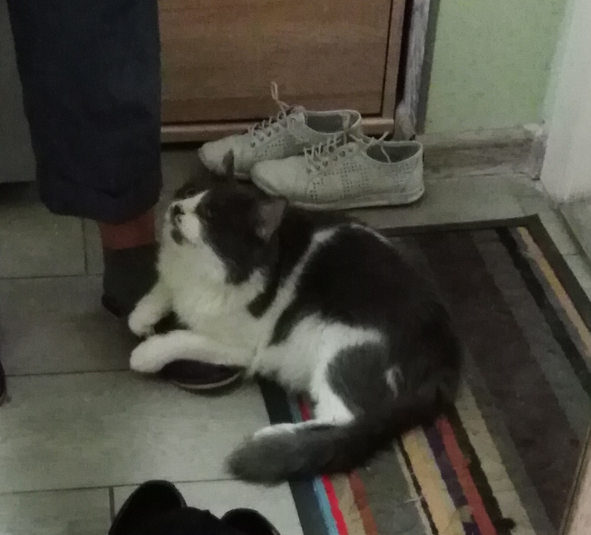 Не хочет отпускать меня на работу