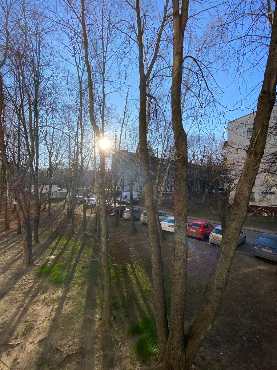 Вид из дома