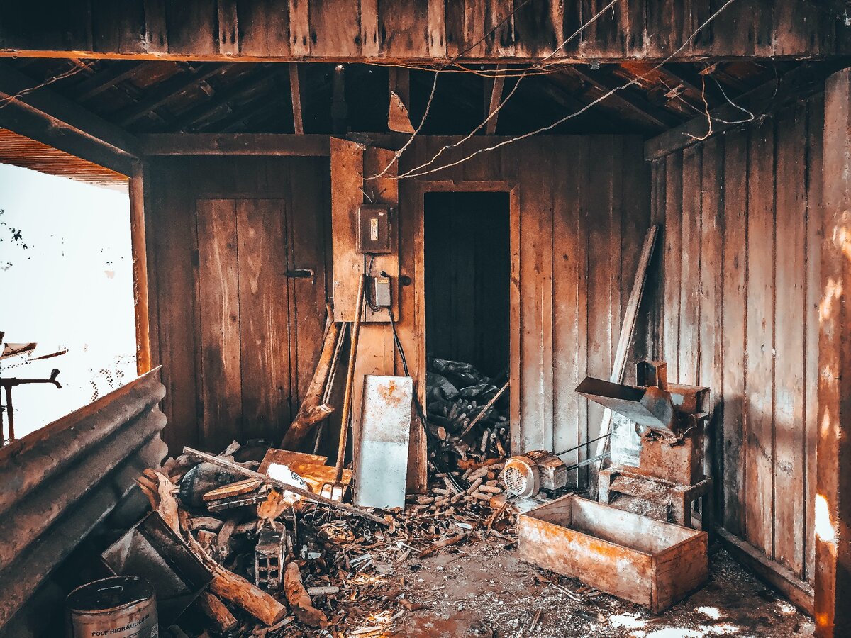 Источник: https://www.pexels.com/