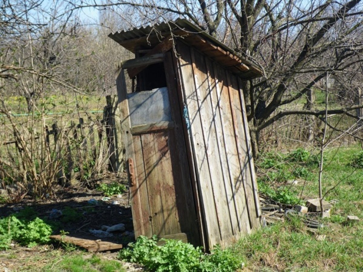 Дизайн дачного туалета. Какой выбрать?