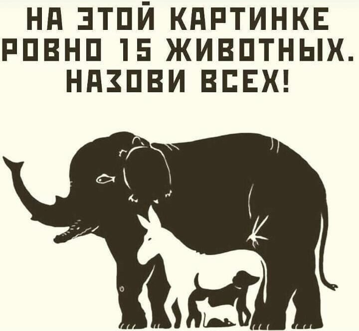 
Тест для ума. Дадим правильный ответ?