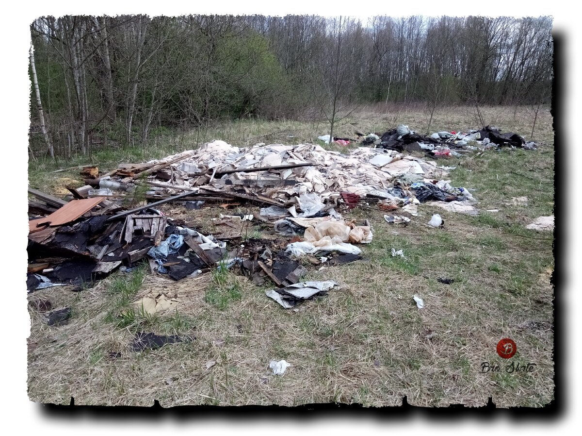 Авторское фото