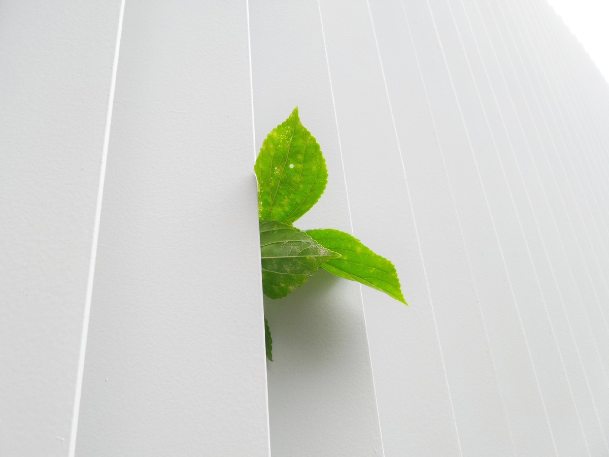 https://unsplash.com/photos/1JePildXM7g