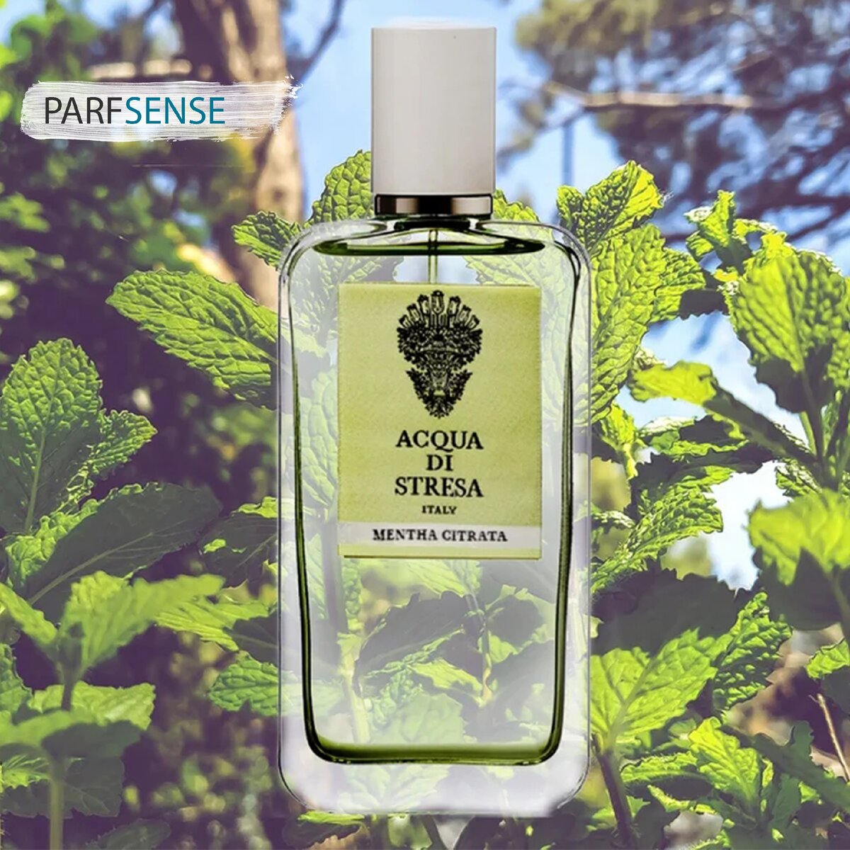 Acqua di Stresa Mentha Citrata
