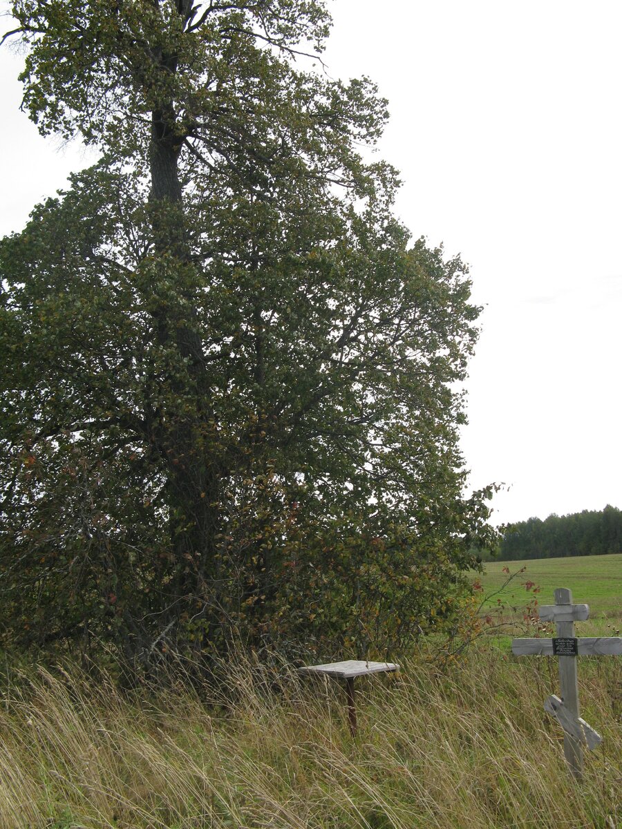 Поклонный крест от благодарных потомков на месте, где когда-то стоял дом