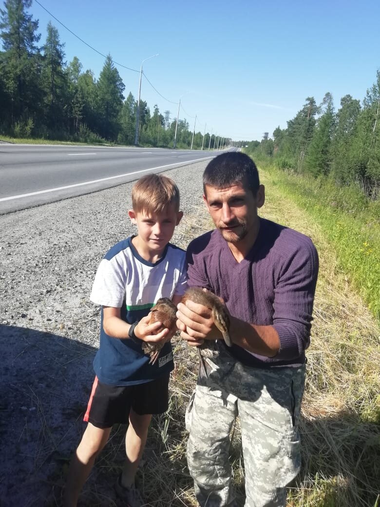 Ночью работали, днем утЕй собирают😄