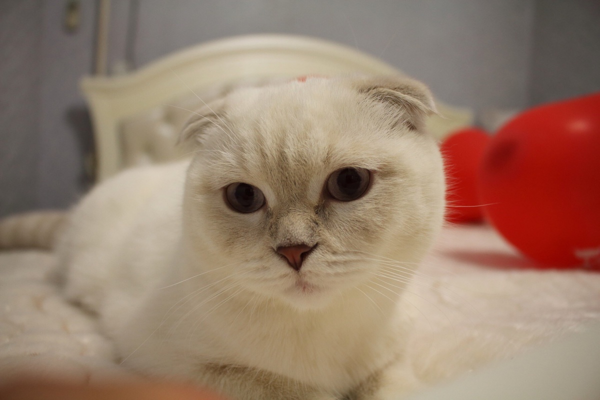 Нет могу ей не любоваться