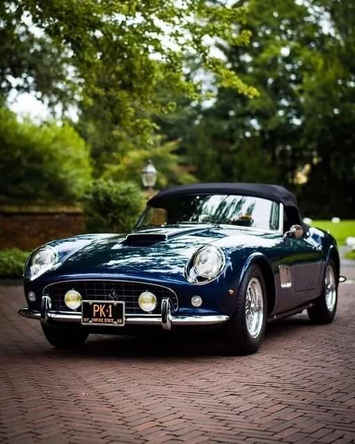 «Старый конь борозды не испортит», по крайней мере, налог за него платить не надо