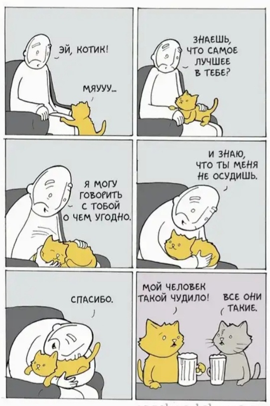 А он то верил.