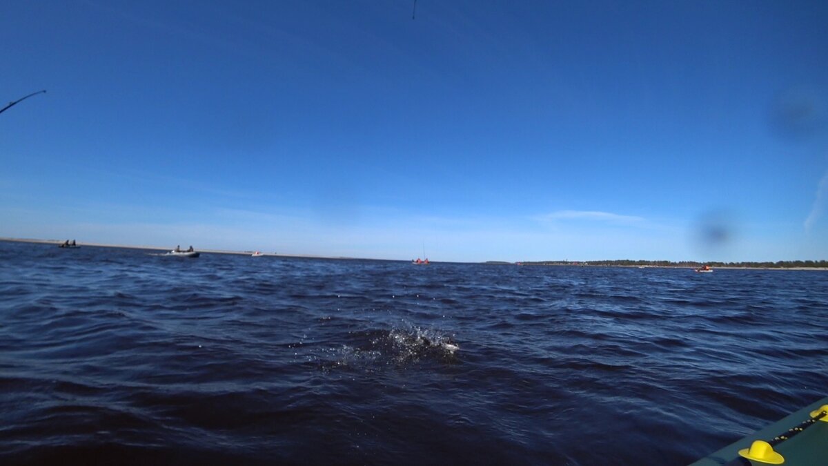 Архангельск какое море. Архангельск море. Архангельск море фото. В Архангельске есть море. Архангельск белое море рыбалка 2022.