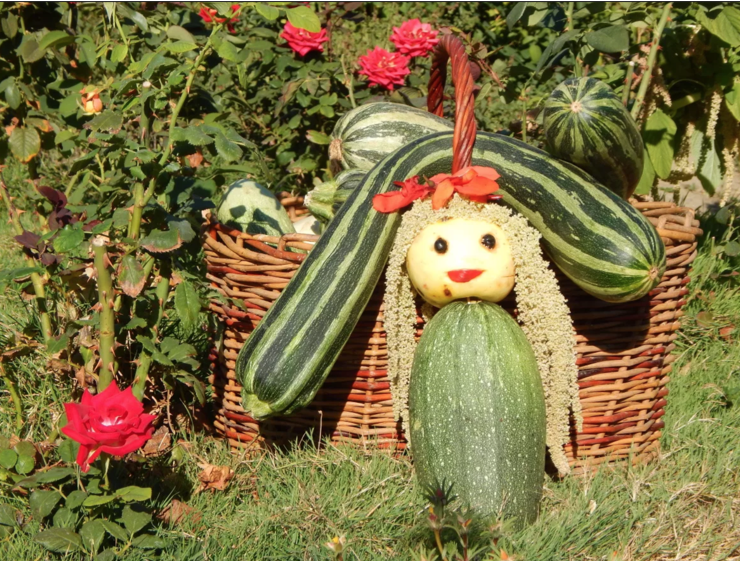 Огородная фантазия на тему кабачков - получилось очень смешно