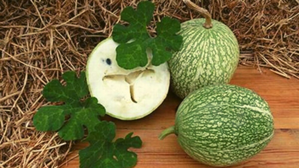 Яндекс.Картинки