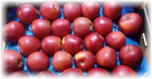 Большую популярность на рынке завоевала яблоня Черный принц. Это дерево с нежно-розовыми цветами и с сочными, ярко-красными плодами. Но данный сорт требует особенного ухода, полива и удобрения.