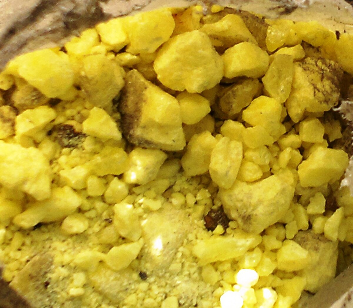 Сера. Фото автора