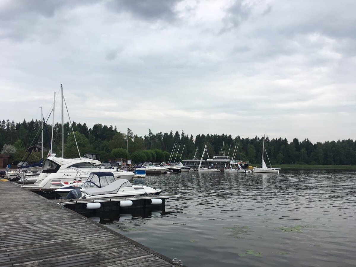 фото для привлечения внимая (фото автора)