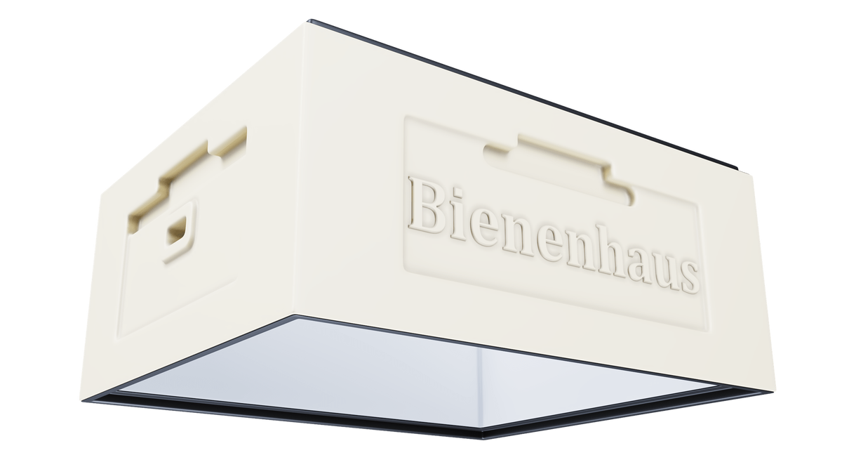 рутовский корпус биненхаус