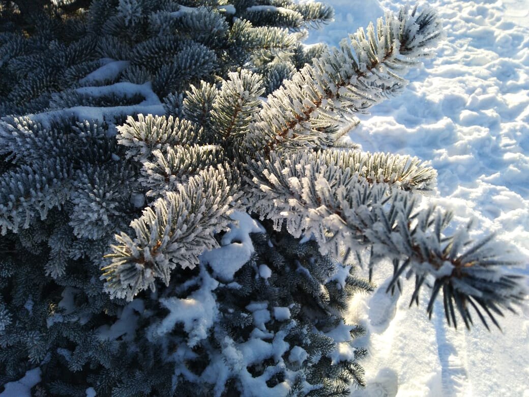 Фото Анны Демаковой
