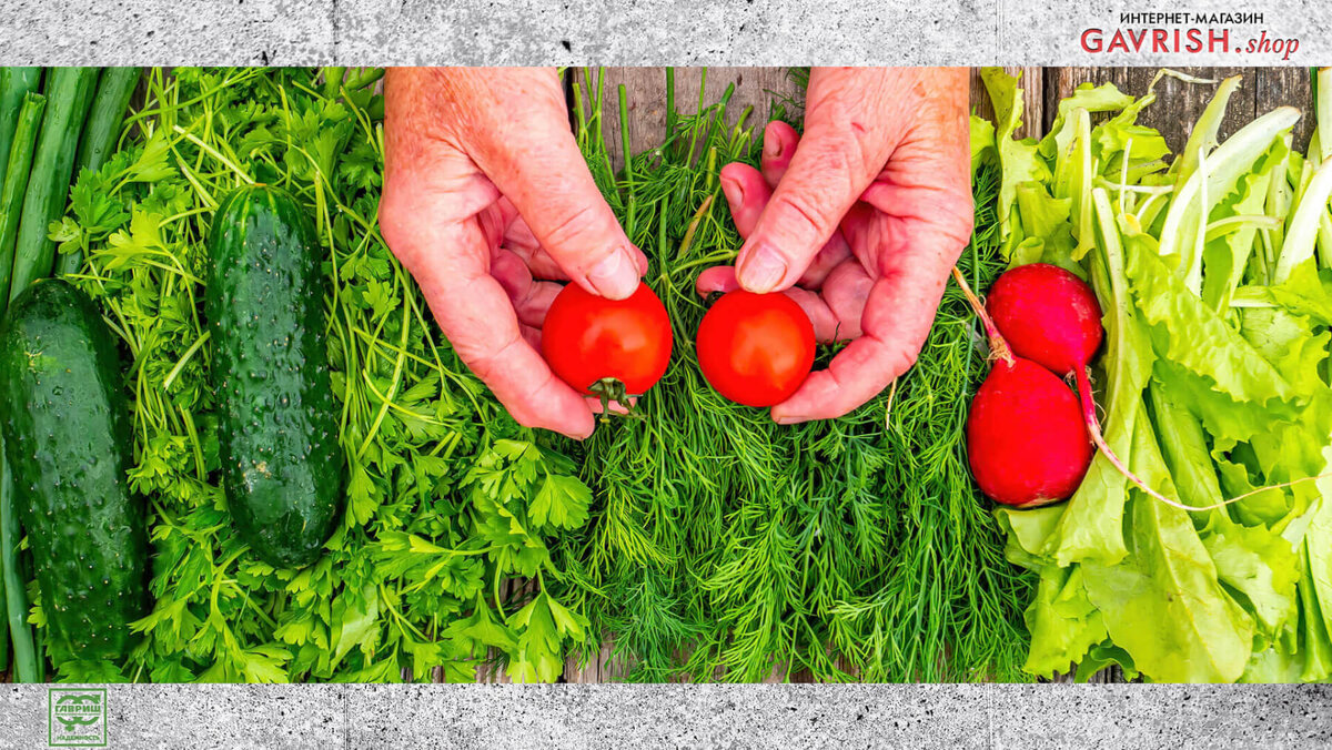 Дорожают огурцы и томаты. Другие овощи тоже идут вверх