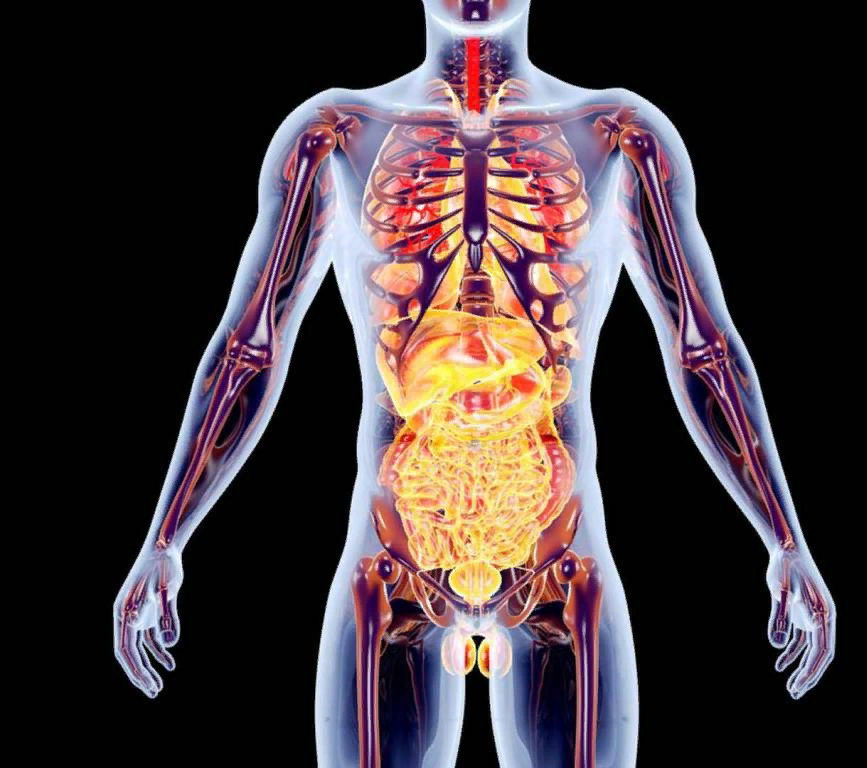 Источник: fb.ru