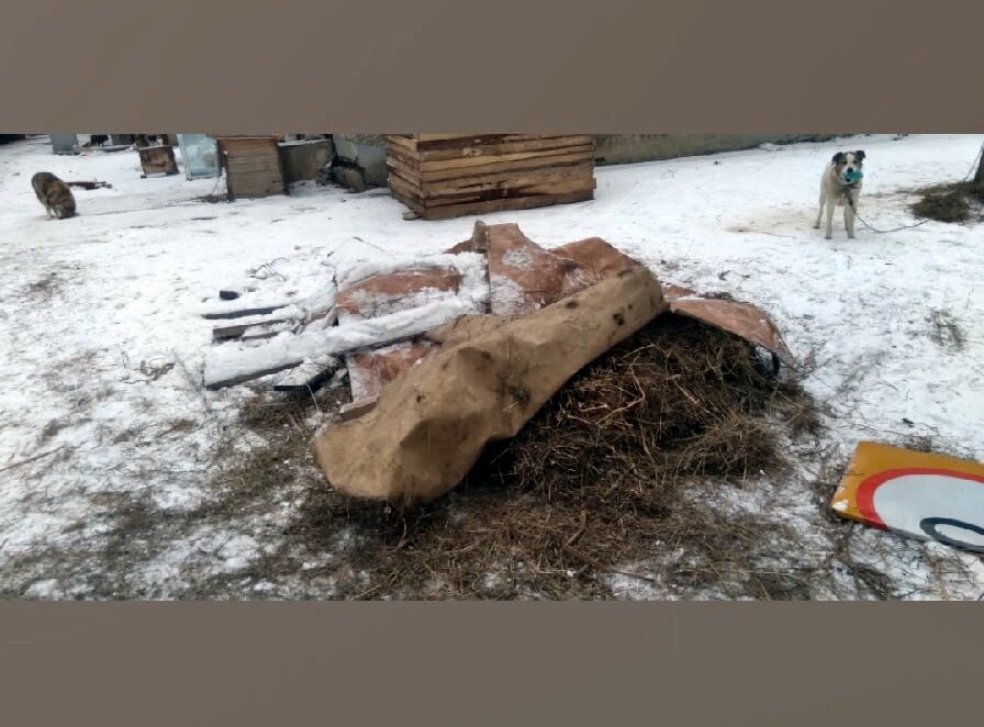 Ася в недоумении? 
- Где сено? Меня же с утра еще не видно было из-за тюков
- У тебя в будке, Асенька