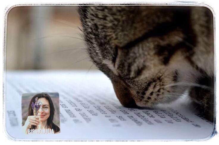 Даже котикам интересно, чем пахнет)