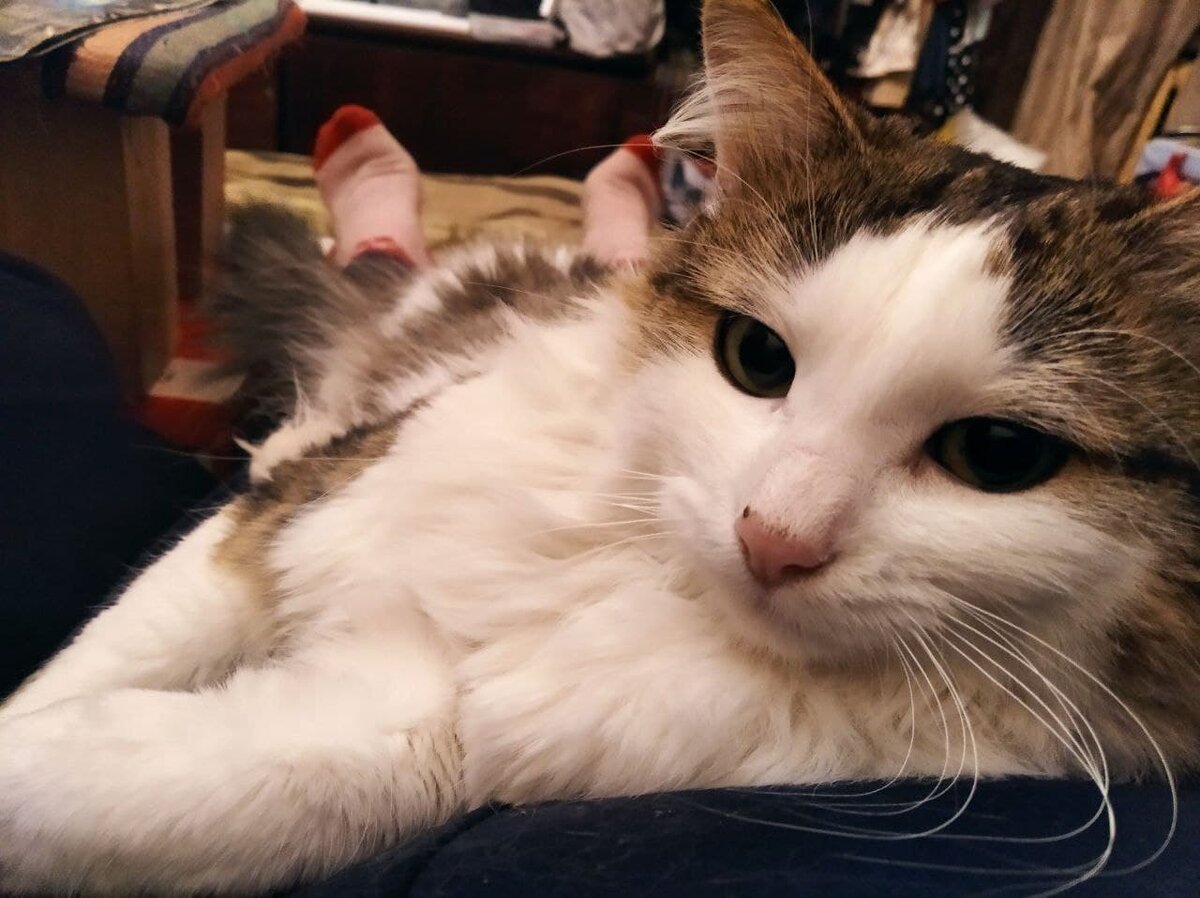 Если точнее, мы игнорировали ее протесты. 