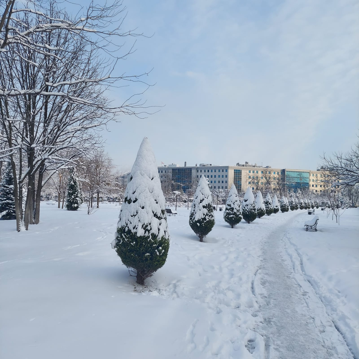 Зима в Краснодаре, январь 2022
