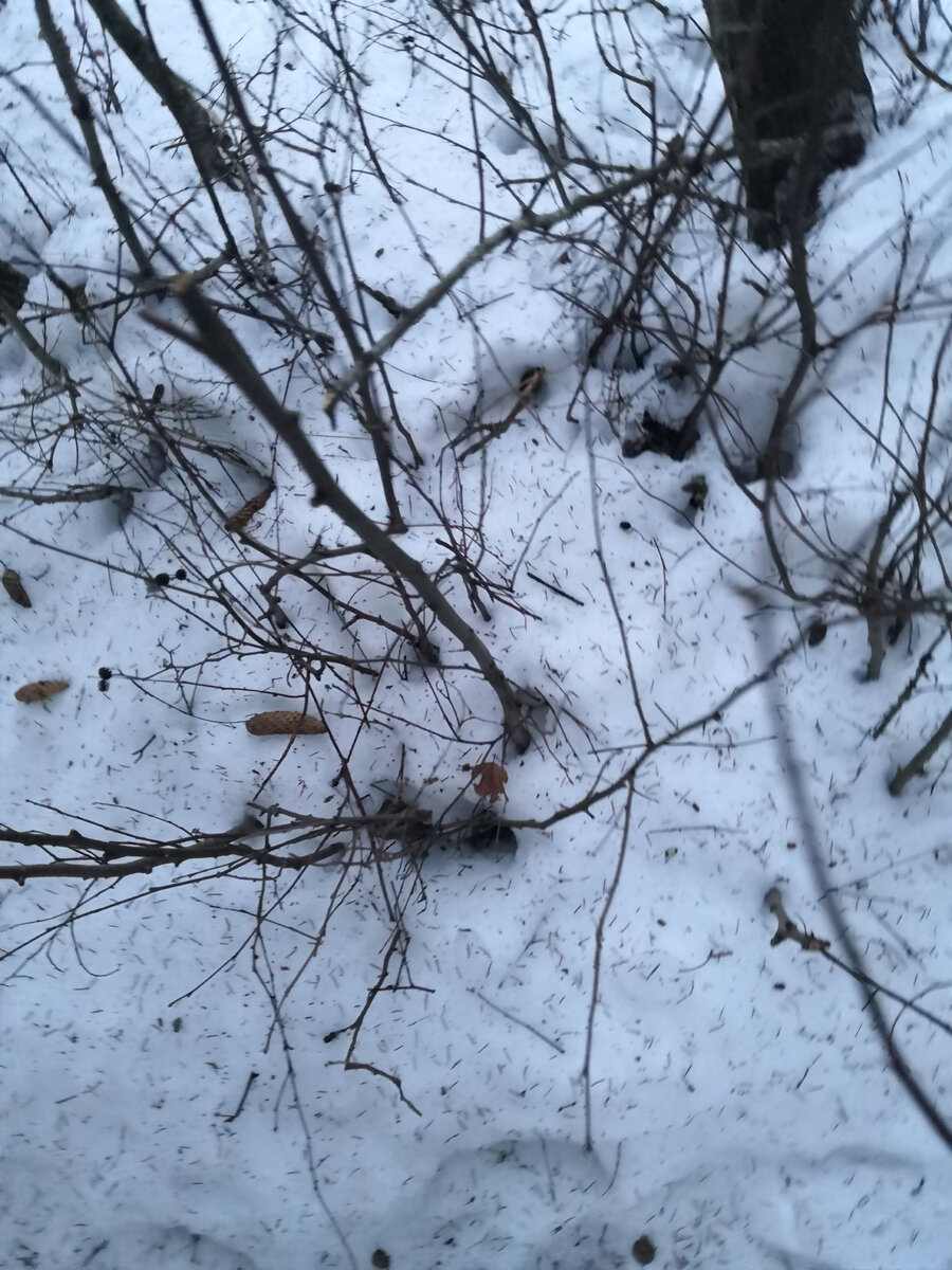 Жизнерадостный человек во мне помер 