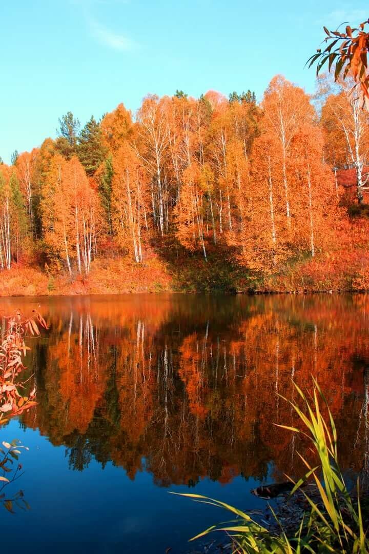Фото взято из свободного доступа в сети Интернет. 