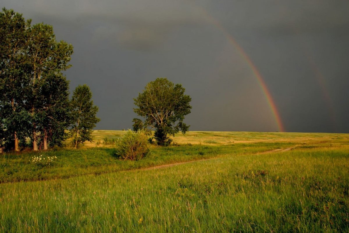 Автор и правообладатель данного изображения: https://oir.mobi/679147-dozhd-v-pole.html