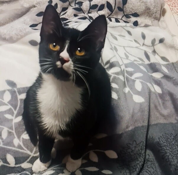 Муся - ведь ангелочек? Правда же?