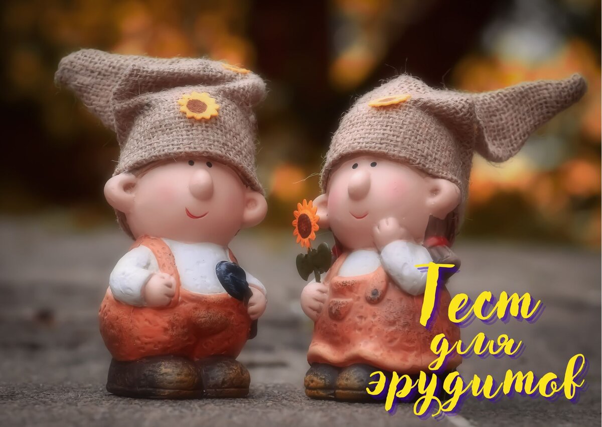 Источник изображения: pixabay.com, дизайн автора публикации