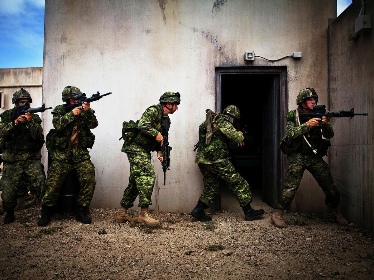    Канадские военные во время учений© Фото : U.S. Marine Corps Forces / Tyler Main