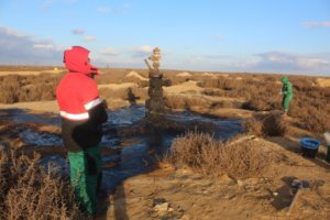    Фото: пресс-служба   
Межрегионального управления   
Росприроднадзора по Ростовской области   
и Республике Калмыкия