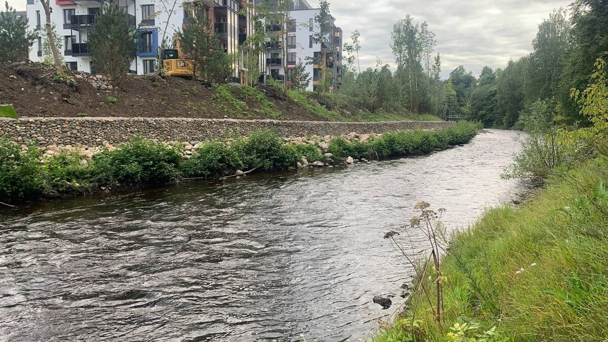     Ранее стало известно о том, что в воде городской реки превышены показатели по металлам. Подробнее в нашем материале.
