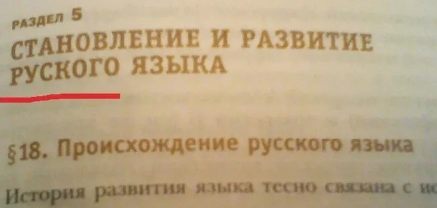 Изображение взято из открытых источников.