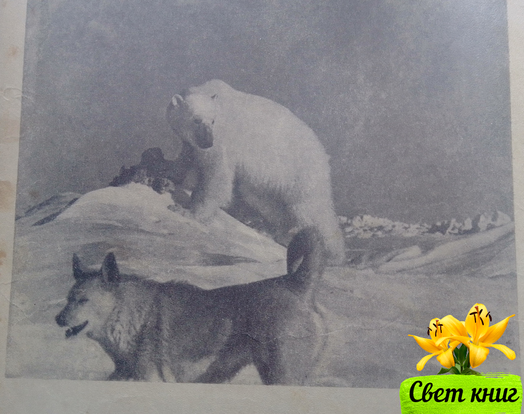 Фото автора.