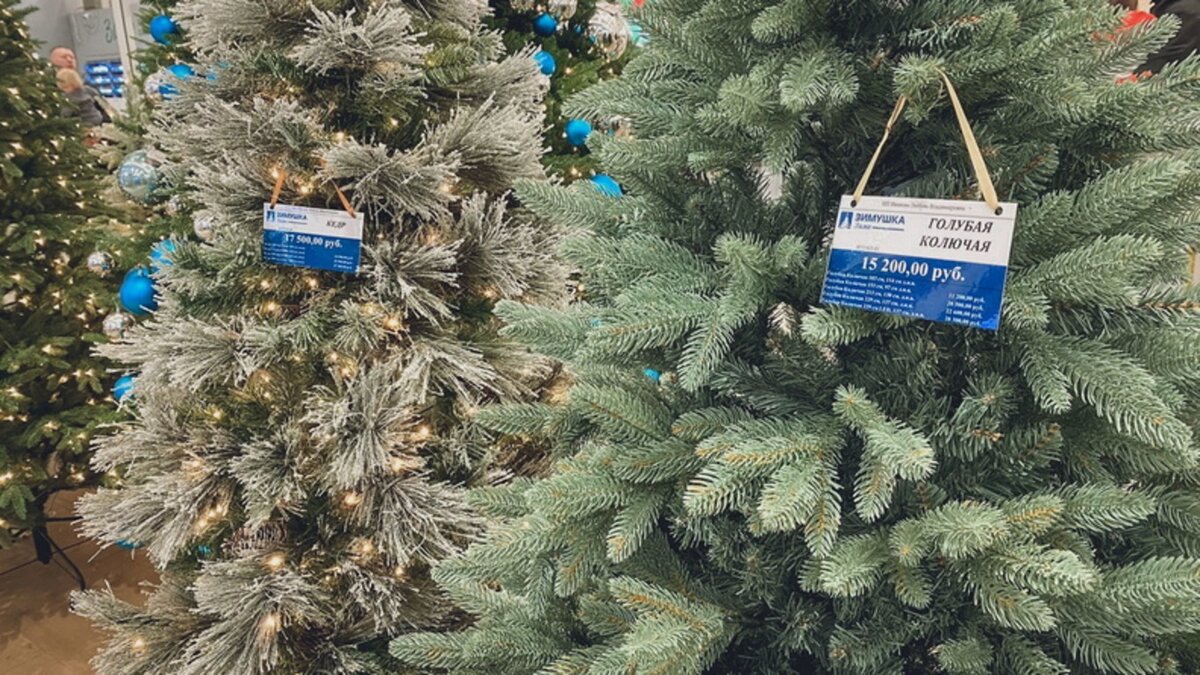    В этом году во Владивостоке будет открыто 13 елочных базаров в разных районах города. Аукцион по распределению мест для предпринимателей уже начался.