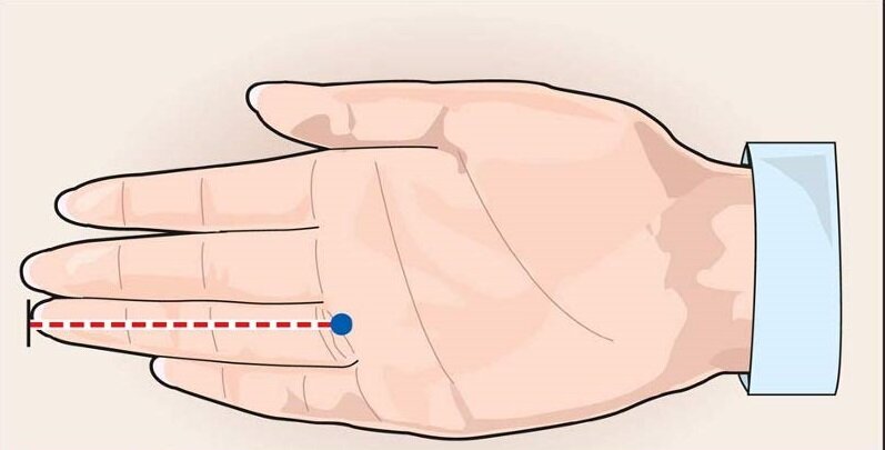 Измерение длины безымянного пальца (https://dezinfo.net) 