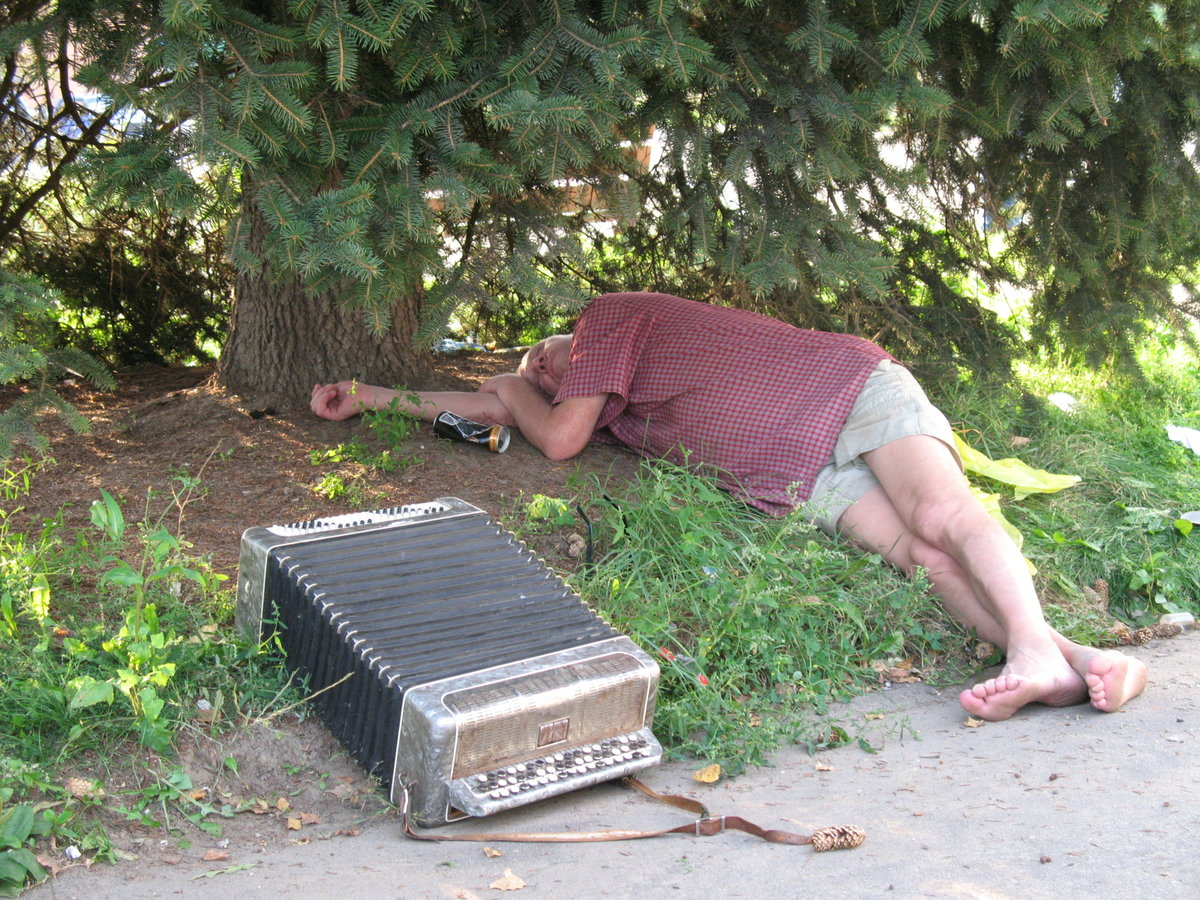 Фото: https://yandex.com/collections/card/5acd816facbcf6d1045b7afd