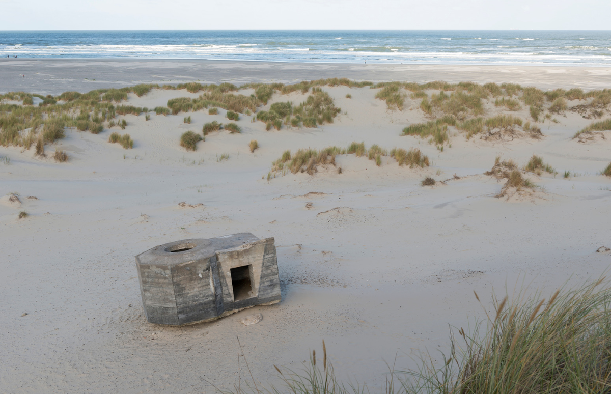 Источник фото: canva.com (приобретенная лицензия)