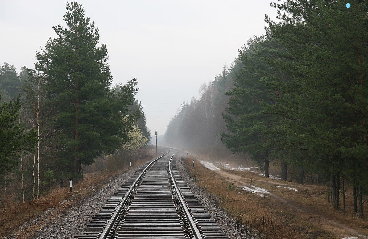 фото с сайта https://yandex.ru/images/   