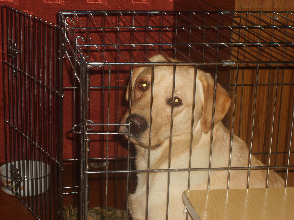 Линда. Фото из личного архива