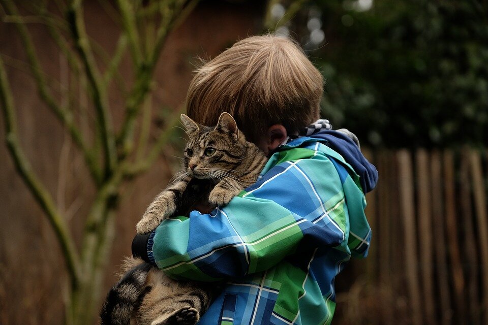 https://cdn.pixabay.com/photo/2017/03/02/22/43/friendship-2112623_960_720.jpg