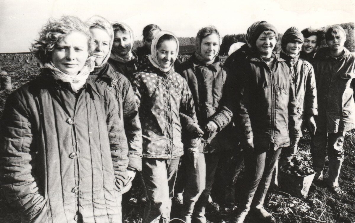 В те годы студенты помогали колхозам. Собирали картошку. 